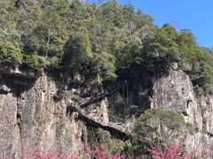 -刘伯温故里景区百丈漈