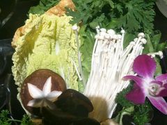 -手选潮汕鲜活牛肉火锅(二七广场店)