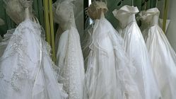 -柠檬树摄影(红谷滩店)