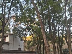 -宁波市保国寺古建筑博物馆