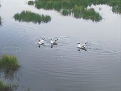 -花湖生态旅游区