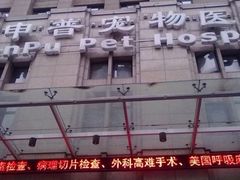 -申普宠物医院·心脏介入·心血管微创(总院)