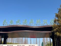 -黄海国家森林公园