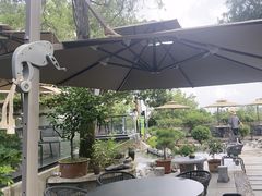 -蘇河湾·新鲁菜·泰山宴(泰山店)