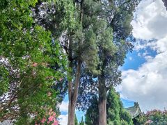 -报恩寺(平武县)