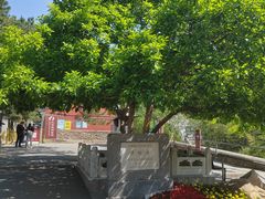 -潭柘寺景区