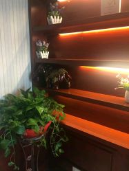 -YESIDO椰岛造型烫发染发