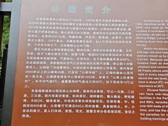 -朱雀国家森林公园