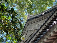 -灵谷景区