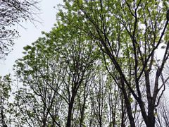 -月坛公园