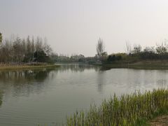 -大兴滨河森林公园