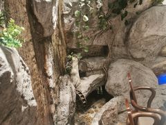 -老湘亲·品鉴湘菜(湖里店)