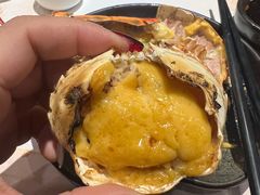 -黑松白鹿(新活馆店)