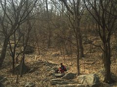 -阳台山自然风景区