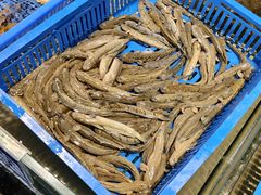 -渔傅·霞浦滩涂海鲜(建平店)