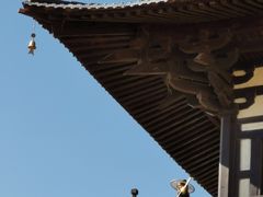 -敦煌古城
