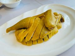 -骏莱海鲜鱼港(五角场店)