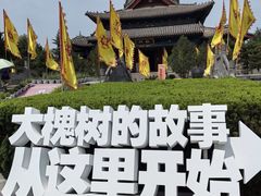 -大槐树寻根祭祖园