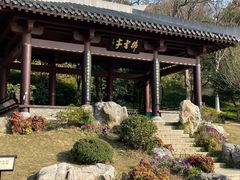 -龟山风景区-龟山电视塔