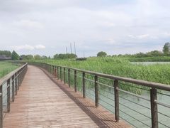 -苏州太湖湖滨国家湿地公园