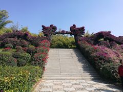 -东南花都花博园