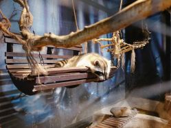 -酷嗒动物文化乐园(cutezoo西溪乐天城店)