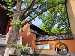 -灵谷景区