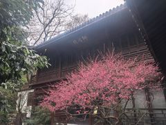 -十八棵（老龙井）御茶园(老龙井店)