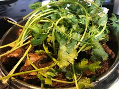 -葛记红焖羊肉(和平路形象店)