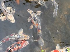 -江宁织造博物馆