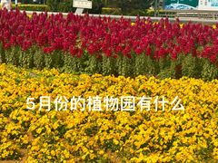 -石家庄市植物园