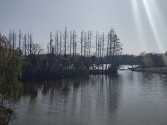 -上海长兴岛郊野公园