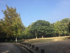 -灵谷景区