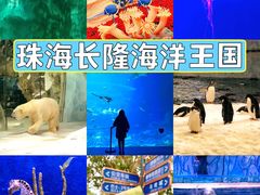 -珠海长隆海洋王国
