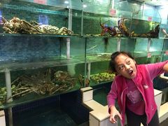 -东国海鲜火锅城(氹仔店)