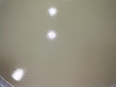 -清宫宴酒楼·计氏松枝包子