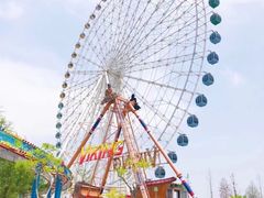 -凤凰欢乐大世界