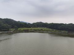 -东莞植物园