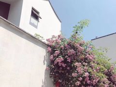 -东梓关景区村庄