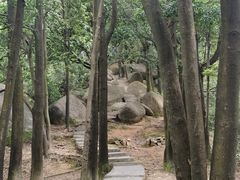 -火炉山森林公园
