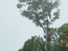 -江南天池