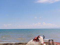 -青海湖国家重点风景名胜区
