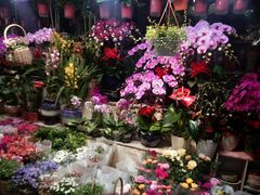 -三旗百汇商品城