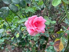 -人民公园(罗湖区)