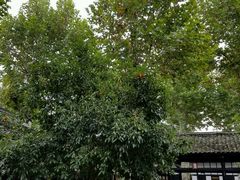 -清代四川贡院