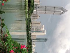 -万绿园
