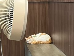 -Again Coffee Roaster(香蜜湖店)