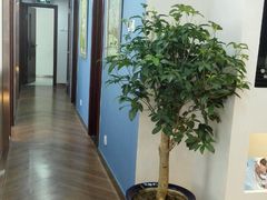 -精德口腔·种植修复·儿牙中心(财富中心店)