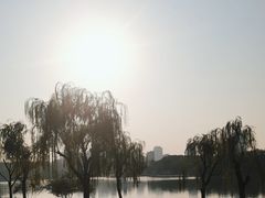 -黄兴公园