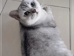 -北京恒爱动物医院(清景园分院)